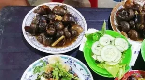 12 Quán Ốc Huế Nổi Tiếng, Ngon Quên Lối Về Đáng Thử Nhất
