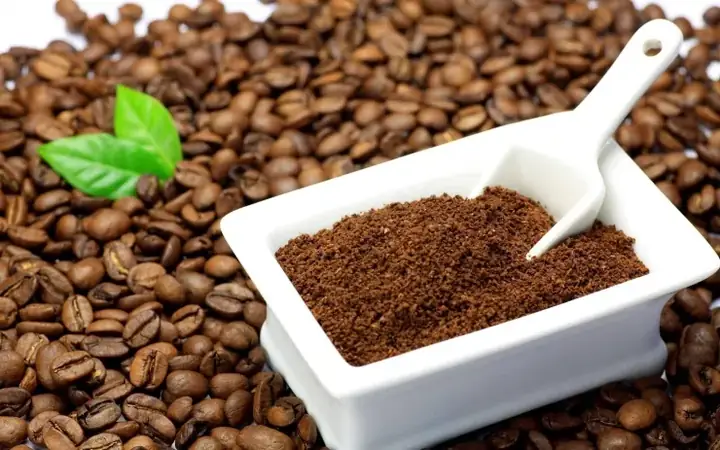 Cà Phê Đà Lạt – Từ Arabica Đến Cà Phê Chồn Huyền Thoại