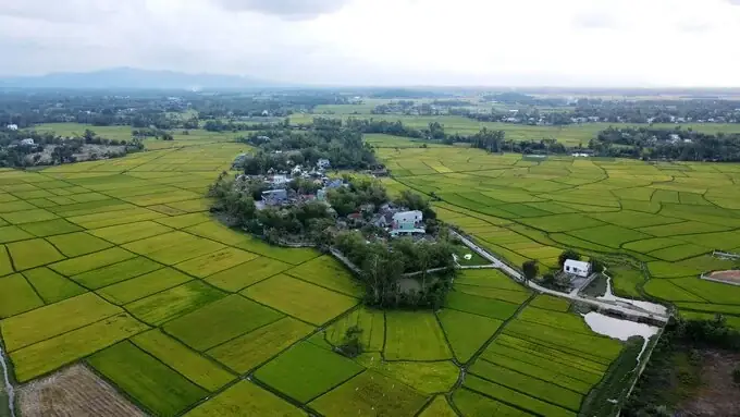 Là 2 Câu Mở Đầu Bài Vè: Quảng Nam Hay Cãi/ Quảng Ngãi Hay Lo/ Bình Định Nằm Co/ Thừa Thiên Hốt Sạch. Là 2 Câu Mở Đầu Bài Vè: Quảng Nam Hay Cãi/ Quảng Ngãi Hay Lo/ Bình Định Nằm Co/ Thừa Thiên Hốt Sạch.