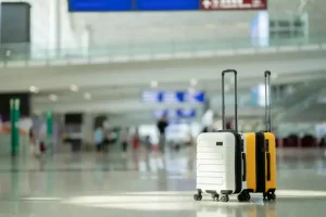 Trách Nhiệm Của Japan Airlines Khi Gặp Sự Cố Về Hành Lý Ký Gửi