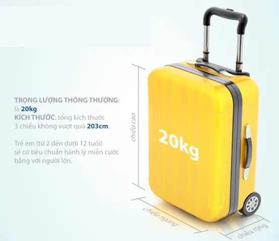 Hành Lý Vietjet Air: Tổng Hợp Những Quy Định Cần Biết - Bestprice