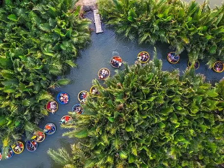 Rừng Dừa Bảy Mẫu: Địa Chỉ, Giá Vé & Kinh Nghiệm Đi Chi Tiết