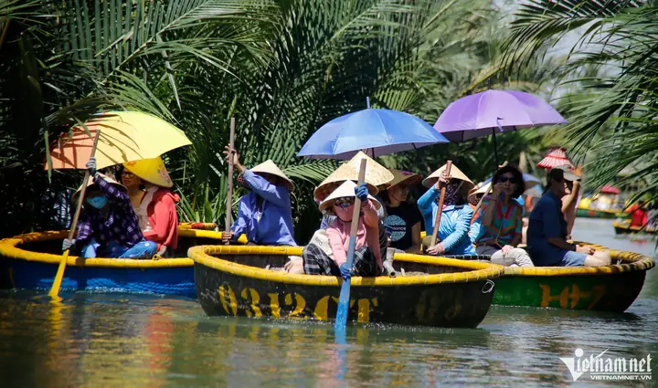 What Does Rừng Dừa Bảy Mẫu Mean In English?