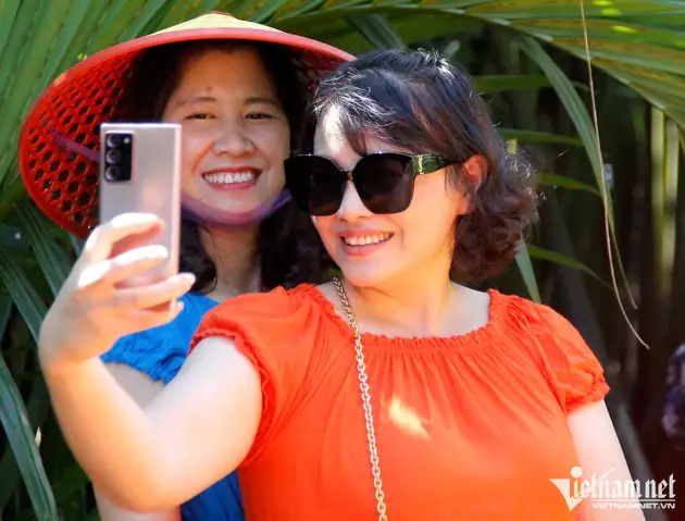 What Does Rừng Dừa Bảy Mẫu Mean In English?