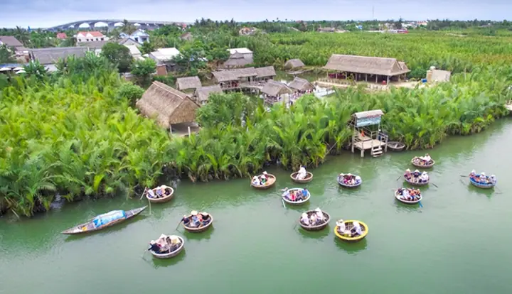 What Does Rừng Dừa Bảy Mẫu Mean In English?