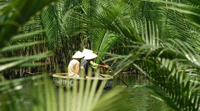 What Does Rừng Dừa Bảy Mẫu Mean In English?