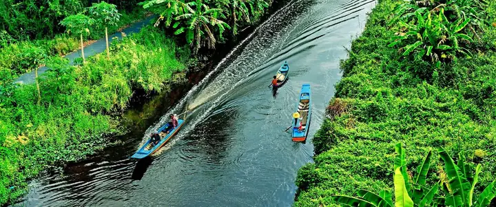 Kinh Nghiệm Du Lịch U Minh Hạ Chi Tiết Cho Chuyến Đi “nhàn Tênh” Kinh Nghiệm Du Lịch U Minh Hạ Chi Tiết Cho Chuyến Đi “nhàn Tênh”