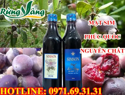 Mật Sim Phú Quốc Nguyên Chất - Thơm Ngon Mát Bổ Tốt Cho Tiêu Hóa