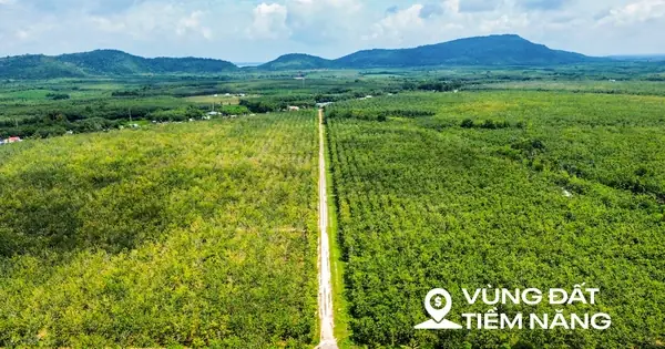 Toàn Cảnh Khu Vực Được Đề Xuất Làm Sân Bay Đầu Tiên Của Tỉnh Bình ... Toàn Cảnh Khu Vực Được Đề Xuất Làm Sân Bay Đầu Tiên Của Tỉnh Bình ...