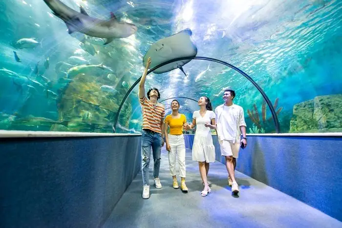 Sân Trượt Băng Ở Hà Nội Sân Trượt Băng Ở Hà Nội