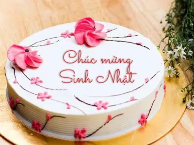 Không Nên Dùng Từ “sanh/sinh Thần”