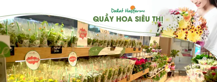 Danh Sách Quầy Hoa Siêu Thị - Dalat Hasfarm