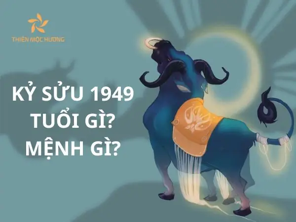 Sinh Năm 1949 Mệnh Gì? Sinh Năm 1949 Bao Nhiêu Tuổi?