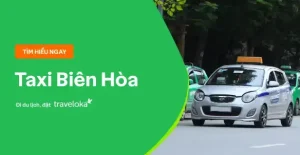 Review Taxi Mai Linh Biên Hoà - Giá Cước, Chất Lượng Phục Vụ