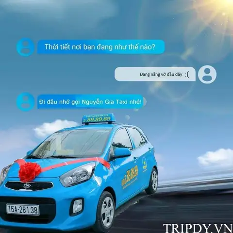 Hướng Dẫn Đặt Xe Thông Qua Gọi Tổng Đài Taxi Nguyễn Gia Hướng Dẫn Đặt Xe Thông Qua Gọi Tổng Đài Taxi Nguyễn Gia