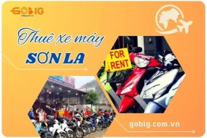Thuê Xe Máy Sơn La: Danh Sách Địa Chỉ Uy Tín Và Chất Lượng 2025