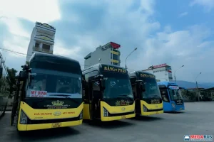 Nhà Xe Ngọc Phi Liên Hệ Dịch Vụ Và Lịch Trình Chi Tiết Nhất