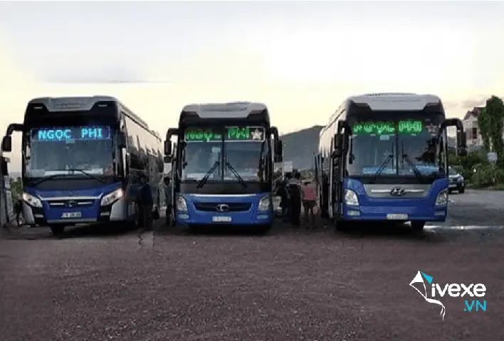 Nhà Xe Ngọc Phi Bình Định - Điện Thoại, Lịch Trình, Giá Vé