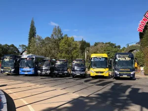 Nhà Xe Phúc Hải : Địa Chỉ, Giá Vé, Lịch Trình Và Sđt Liên Hệ – Nhà Xe ...
