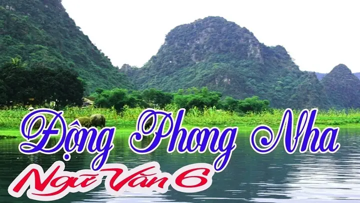 Soạn Bài Động Phong Nha (trần Hoàng) | Soạn Văn 6 Soạn Bài Động Phong Nha (trần Hoàng) | Soạn Văn 6