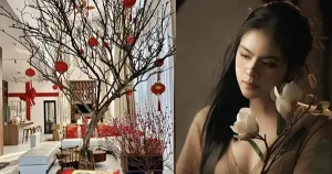 Vân Trang Là Ceo Sở Hữu Spa Làm Đẹp, Khu Du Lịch Sinh Thái 50.000m2