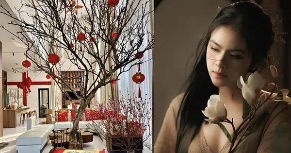 Vân Trang Là Ceo Sở Hữu Spa Làm Đẹp, Khu Du Lịch Sinh Thái 50.000m2