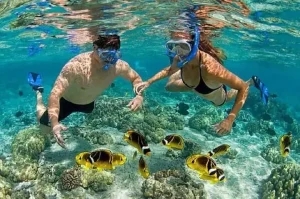 Cham Island Ferry 2025: Schedules, Prices & Hoi An Guide