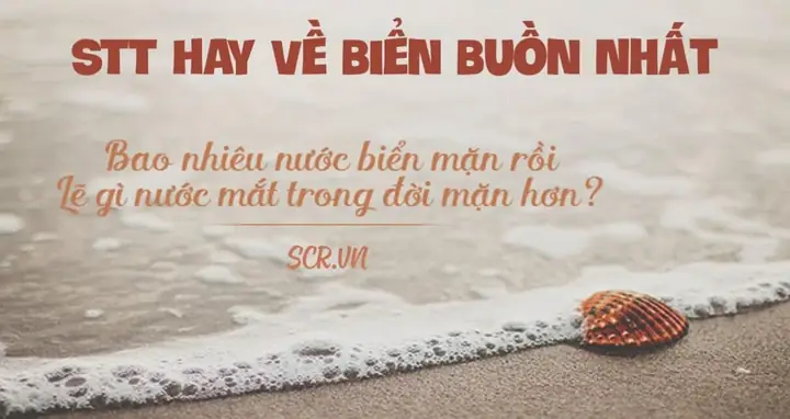 Stt Hay Về Biển Và Anh Stt Hay Về Biển Và Anh