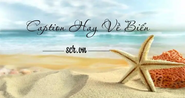 Status Hay Về Biển Và Anh Status Hay Về Biển Và Anh