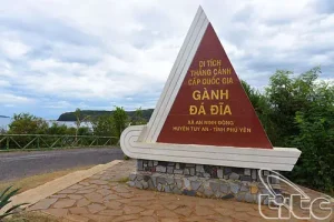 Ghềnh Đá Đĩa – Kiệt Tác Thiên Nhiên Ban Tặng Cho Phú Yên