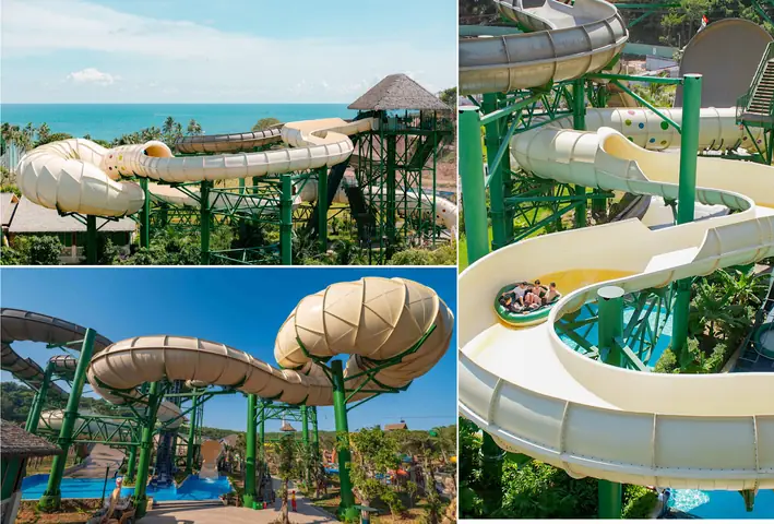 Long Xà Nổi Giận
