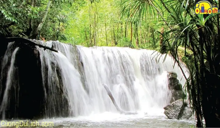 Vị Trí Suối Tranh