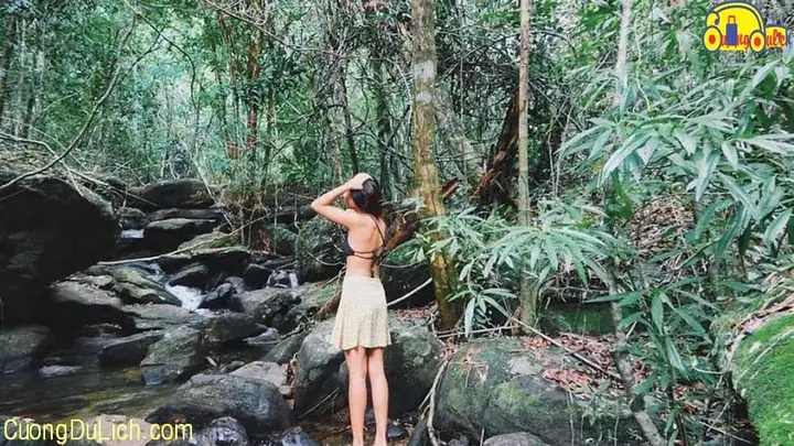 Suối Tranh Hiện Giờ Ra Sao?