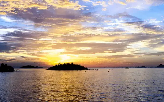 Viết Dàn Ý Viết Dàn Ý