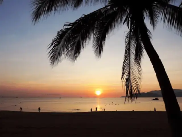 Viết Bài Hoàn Chỉnh