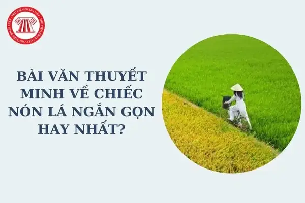 Bài Văn Thuyết Minh Về Chiếc Nón Lá Ngắn Gọn Hay Nhất? Viết Được ...