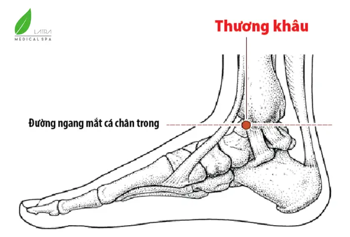 Huyệt Thương Khâu