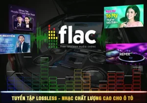 List Nhạc Lossless Chất Lượng Cao Cho Ô Tô – Tải Nhạc Ô Tô Miễn Phí ...