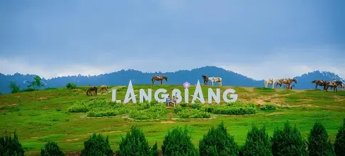 Đà Lạt Nằm Trên Cao Nguyên Nào? Địa Hình, Khí Hậu Ra Sao?