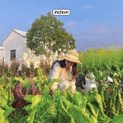Mẹ Yêu Thích Thiên Nhiên Mẹ Yêu Thích Thiên Nhiên