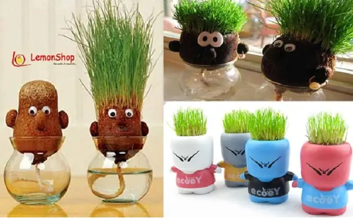 Chậu Cây Để Bàn Độc Lạ