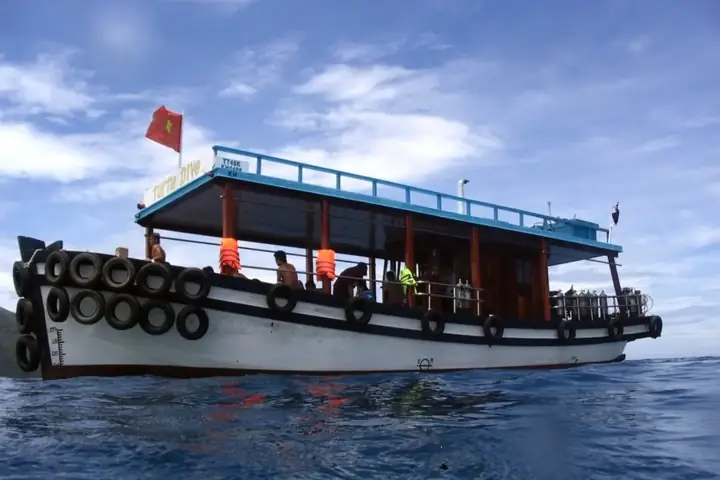 Hệ Sinh Thái San Hô Phong Phú Hệ Sinh Thái San Hô Phong Phú