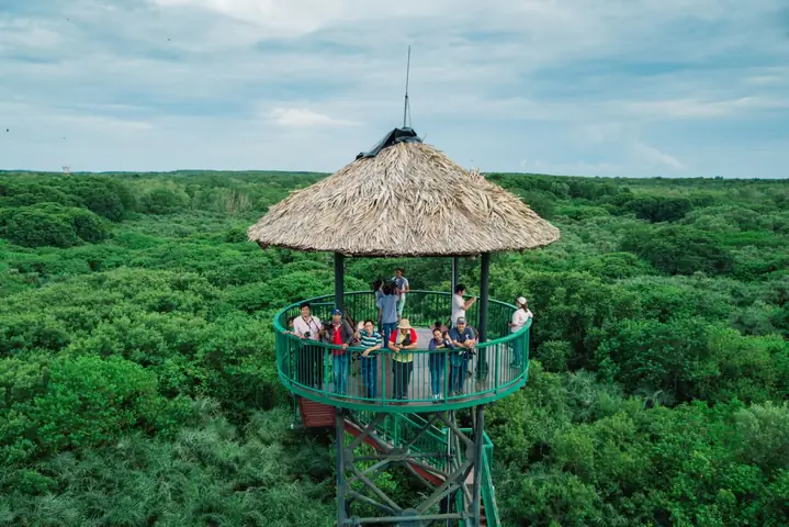 Khu Du Lịch Sinh Thái Cần Giờ