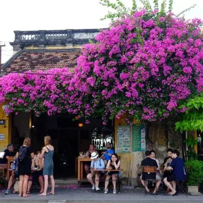 Đèn Lồng Và Hoa Đăng Lấp Lánh Sau Cơn Mưa
