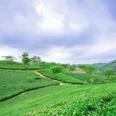 Mộc Châu Hùng Vĩ Với Thác Dải Yếm
