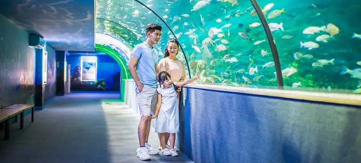 Tháng 1 Nên Đi Du Lịch Ở Đâu Miền Bắc? Đón Năm Mới Ở Thủ Đô Hà Nội Tháng 1 Nên Đi Du Lịch Ở Đâu Miền Bắc? Đón Năm Mới Ở Thủ Đô Hà Nội