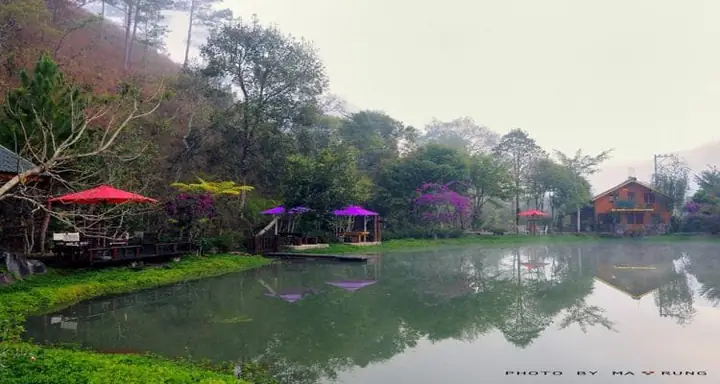 Đà Lạt Tháng 12 Có Gì Thú Vị Và Lưu Ý Về Thời Tiết Khi Đi Vào Tháng Này Đà Lạt Tháng 12 Có Gì Thú Vị Và Lưu Ý Về Thời Tiết Khi Đi Vào Tháng Này