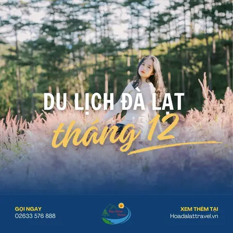 Du Lịch Đà Lạt Tháng 12 Có Gì Hay Và Thú Vị? Nên Lưu Ý Gì Khi Đi Du Lịch Đà Lạt Tháng 12 Có Gì Hay Và Thú Vị? Nên Lưu Ý Gì Khi Đi