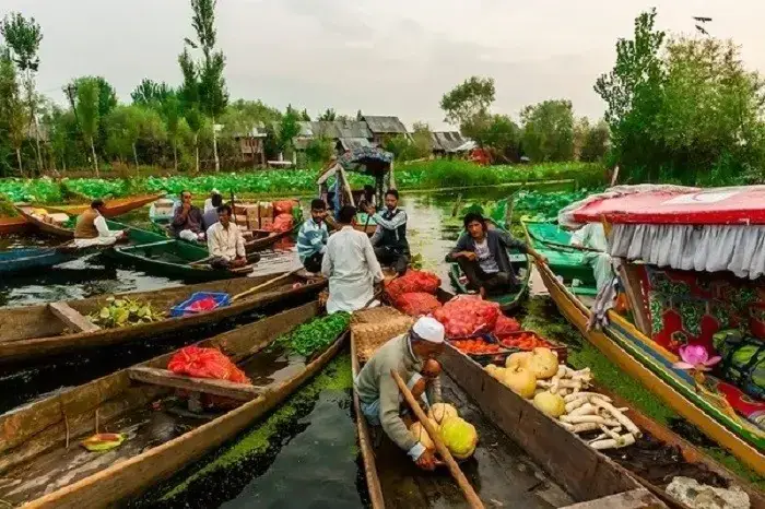 Trải Nghiệm Chợ Nổi Trên Hồ Dal