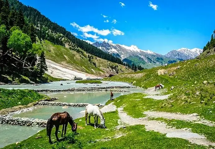 Đến Thăm Thung Lũng Sonamarg